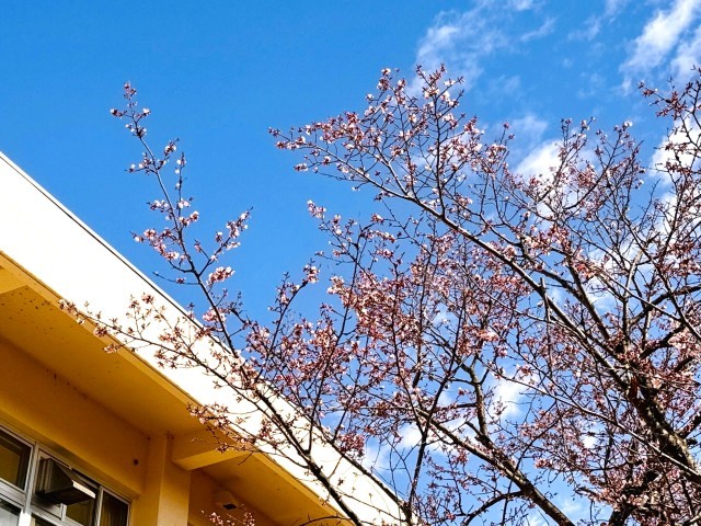 4月25日