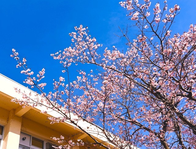4月28日