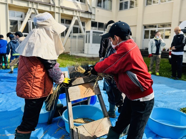 千歯扱き１